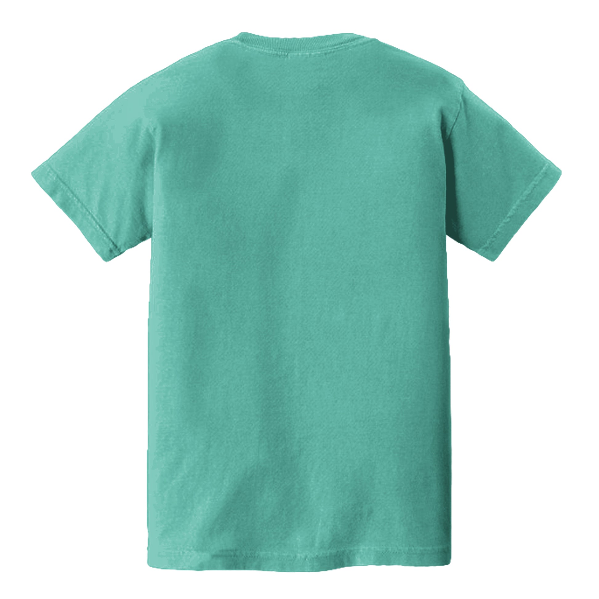 CHALKY MINT - C9018 - BACK