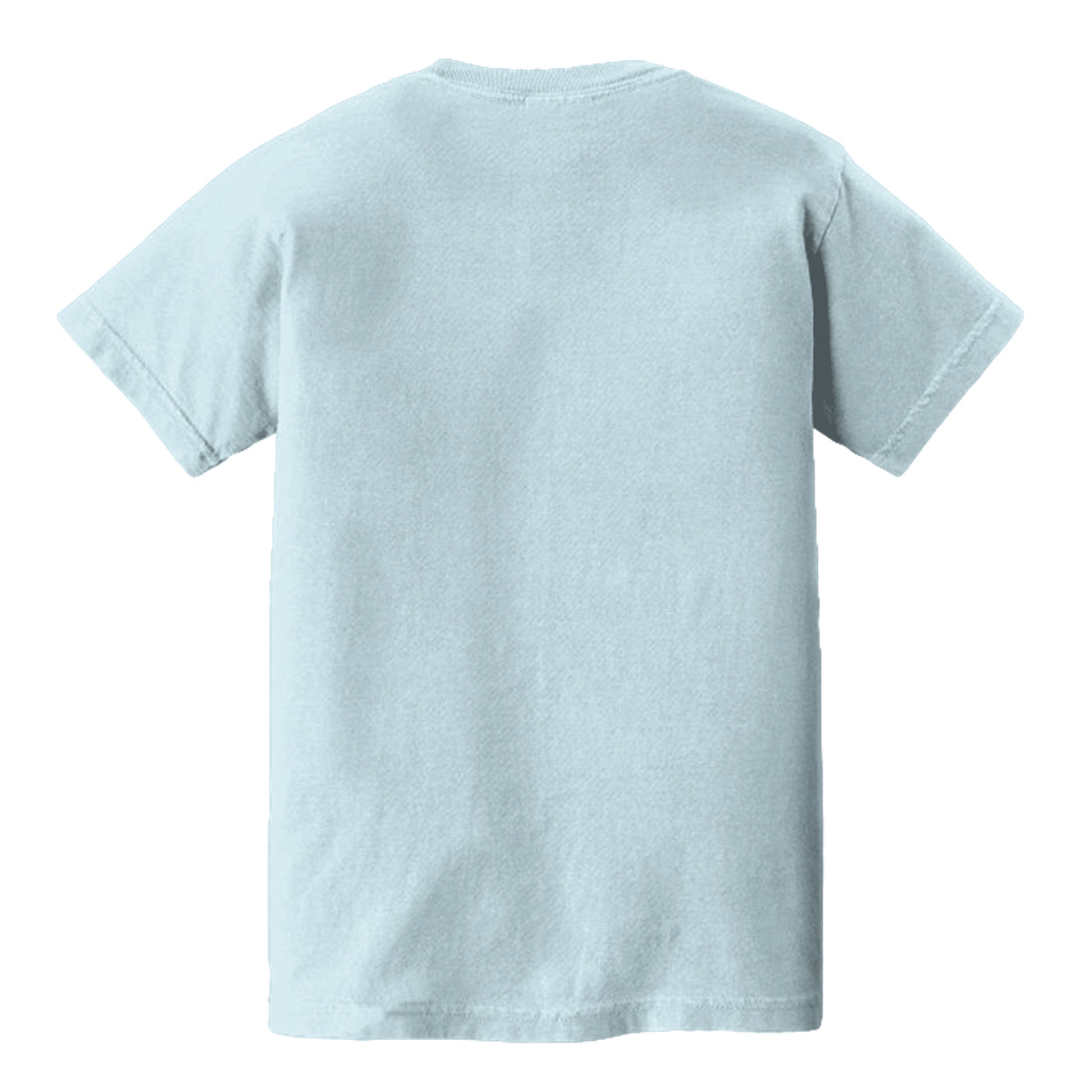 CHAMBRAY - C9018 - BACK